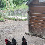 Photo n° 16 de l'avis de Moon.a fait le 20/06/2019 à 19:23 pour Ferme pédagogique Marcel Dhénin - Ville de Lille à Lille