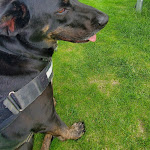 Photo n°2 de l'avis de benta.y fait le 17/07/2021 à 15:51 sur le  Weinstube Zechpeter à Flemlingen