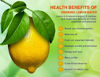 Get Slim Rochester - Photo 6 - Car repair in Rochester, NY, Rochester