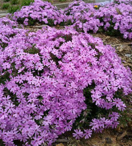 Water Park «Wetlands Water Park», reviews and photos, 1523 TN-81 Truck, Jonesborough, TN 37659, USA