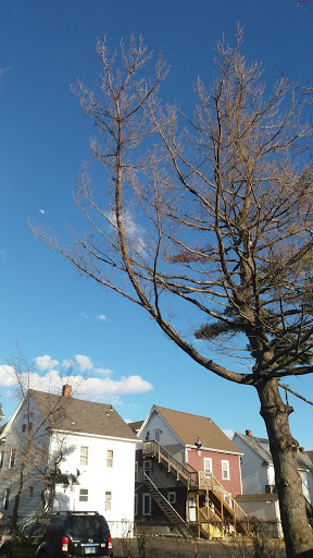 Shopping Mall «Ridgeway Shopping Center», reviews and photos, 2233 Summer St, Stamford, CT 06905, USA