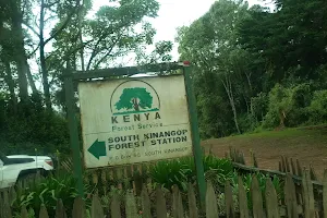 Elephant Hill Hiking Trail (Aberdare ) Njabini, Kenya. image