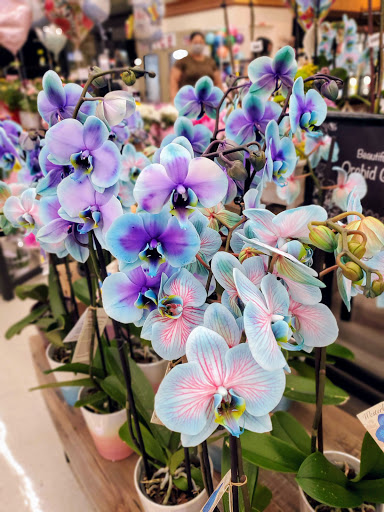 Supermarket «Stater Bros. Markets», reviews and photos, 1175 Baker St, Costa Mesa, CA 92626, USA