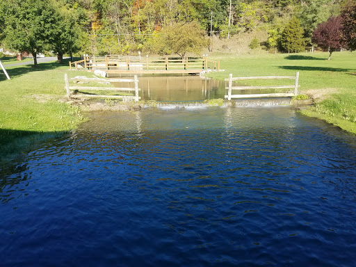 Resort «Smoke Hole Caverns», reviews and photos, 8290 N Fork Hwy, Cabins, WV 26855, USA