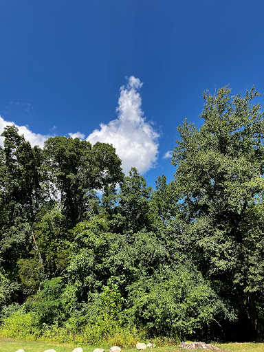 State Park «Lincoln Woods State Park», reviews and photos, 2 Manchester Print Works Rd, Lincoln, RI 02865, USA