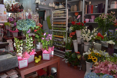 CLAUDE FLEURS à Arles