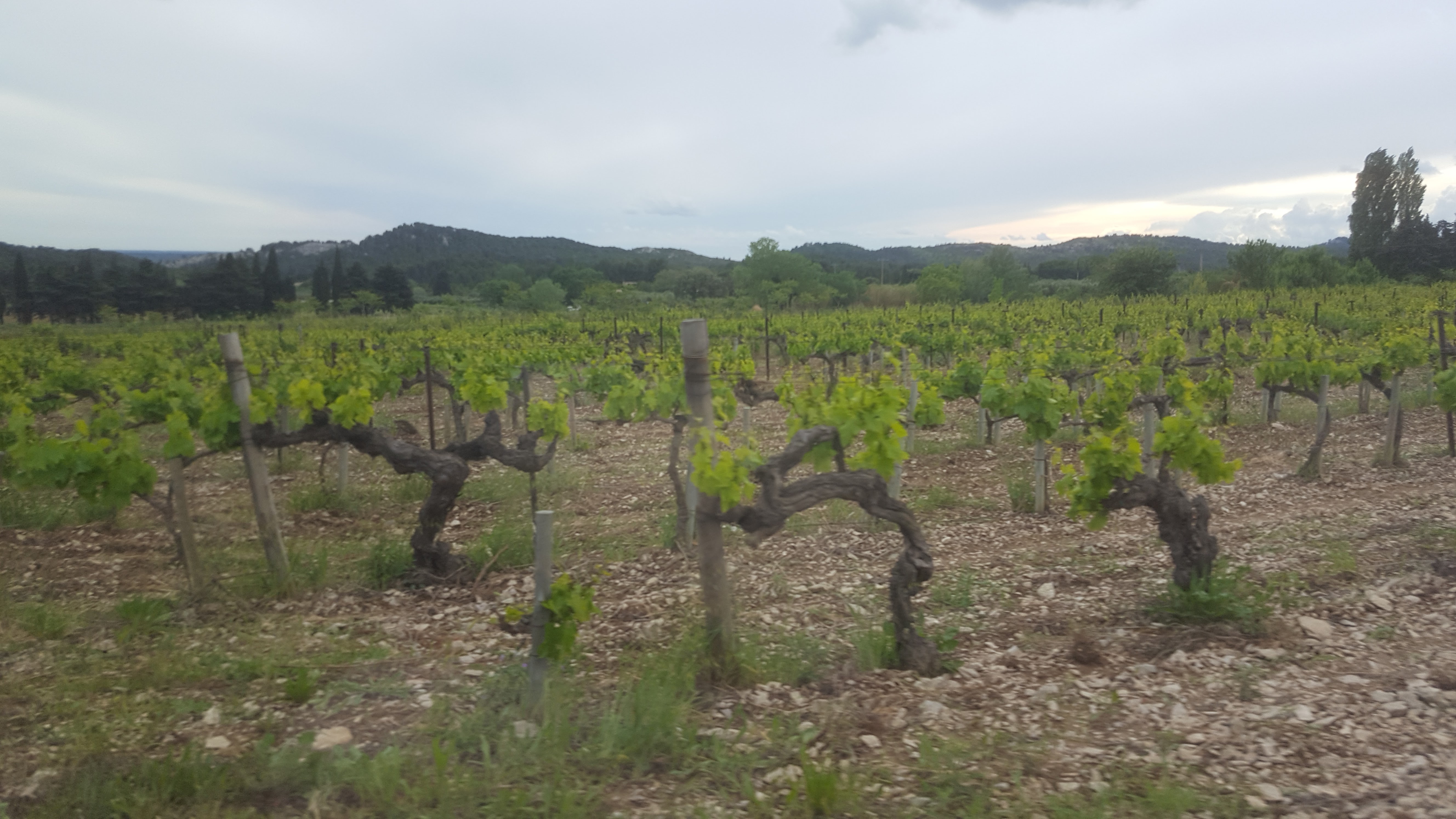 Photo n° 6 de l'avis de Cathie.a fait le 10/05/2018 à 07:48