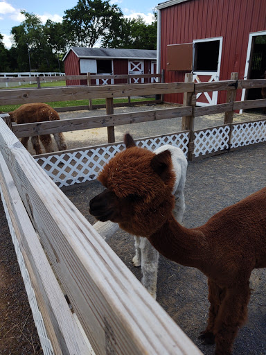 Gift Shop «Hidden Spring Lavender Farm and Gift Shoppe», reviews and photos, 890 Belle Mead-Blawenburg Rd, Skillman, NJ 08558, USA