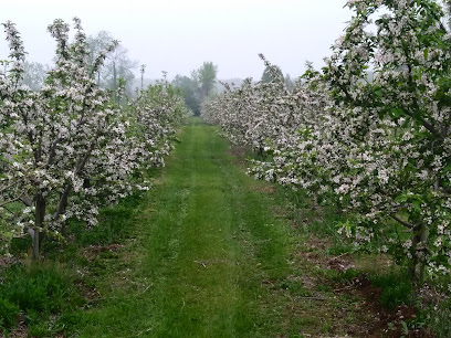 Scotview Orchards