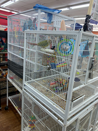 Pet Supply Store «Pet Supermarket», reviews and photos, 1125 Royal Palm Beach Blvd, Royal Palm Beach, FL 33411, USA