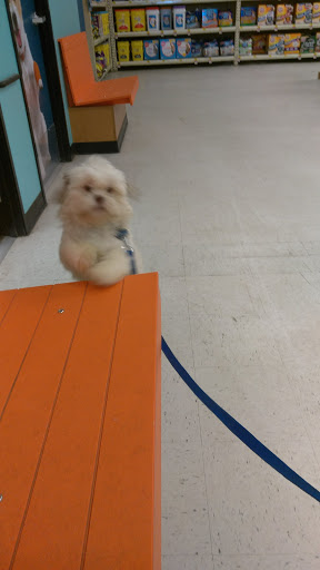 Pet Supply Store «PetSmart», reviews and photos, 6251 N Davis Hwy, Pensacola, FL 32504, USA