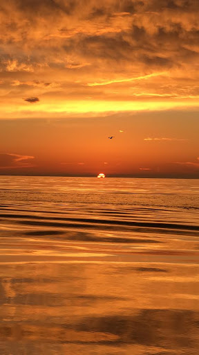 Real Estate Agency «NSB Homes New Smyrna Beach Real Estate», reviews and photos, 209 Downing St, New Smyrna Beach, FL 32168, USA