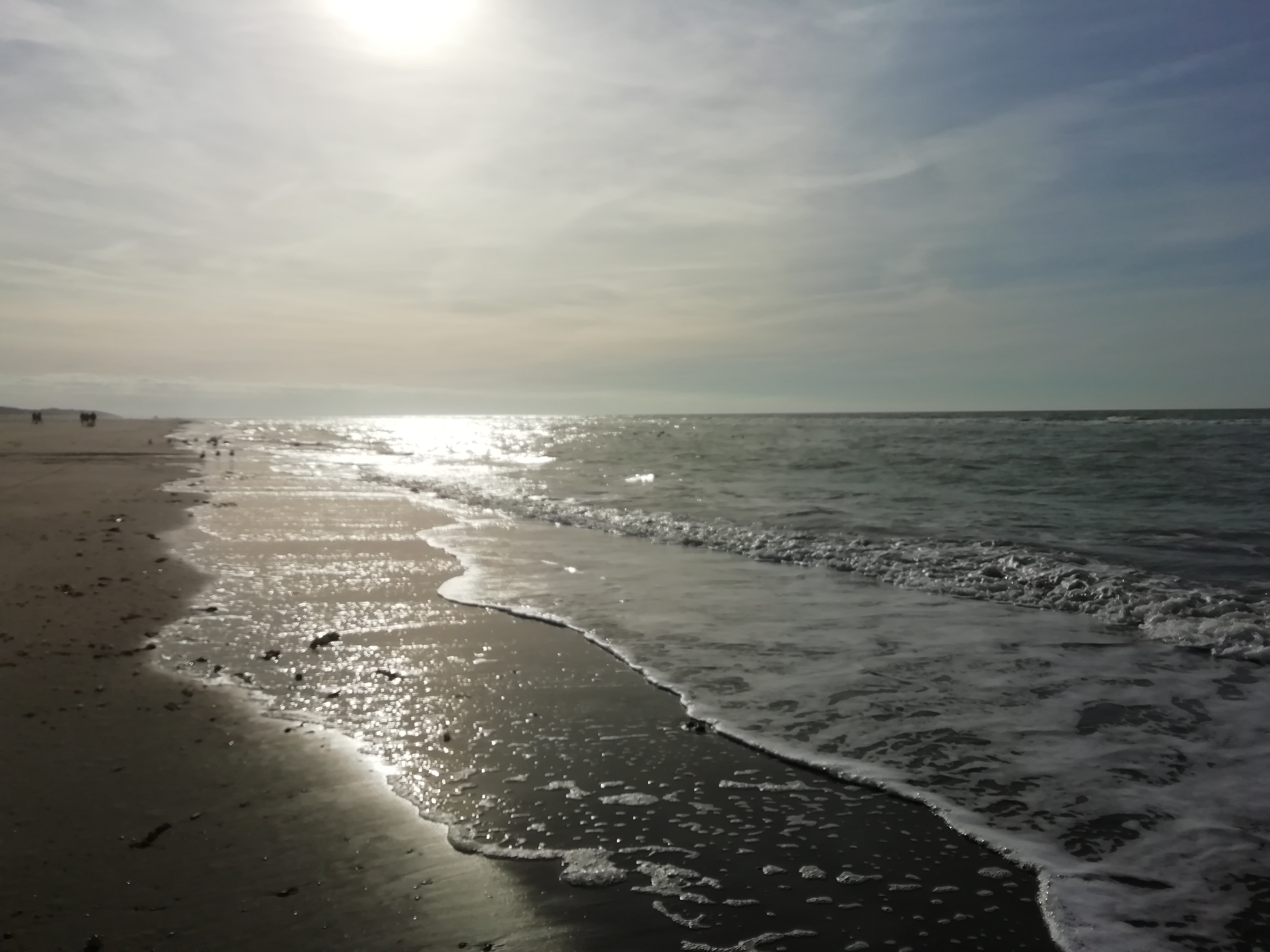 Photo n° 5 de l'avis de Christine.a fait le 13/02/2019 à 08:57