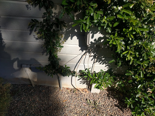 Golf Club «McCormick Ranch Golf Club», reviews and photos, 7505 E McCormick Pkwy, Scottsdale, AZ 85258, USA