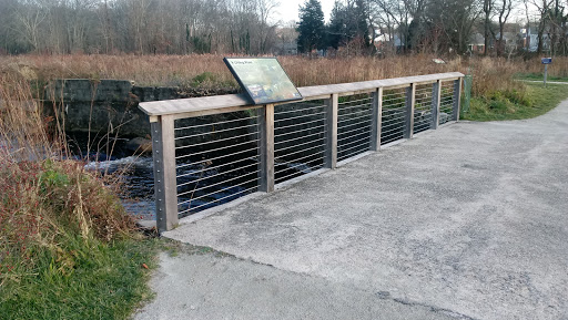 Park «Acushnet Sawmill», reviews and photos, 32 Mill Rd, Acushnet, MA 02743, USA