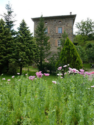 Kappler Laurent à Cendras