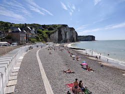 Plage des Petites Dalles'in fotoğrafı vahşi alan