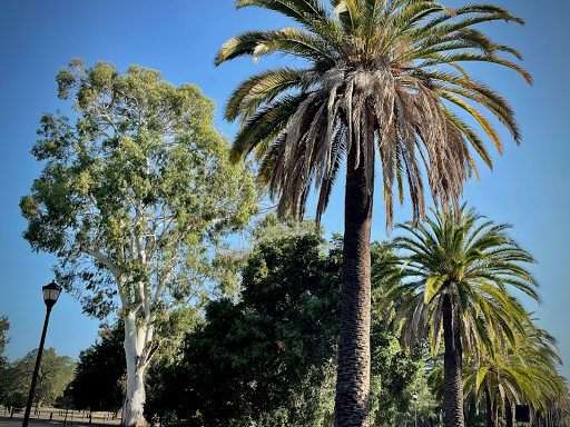 Stanford University Arboretum