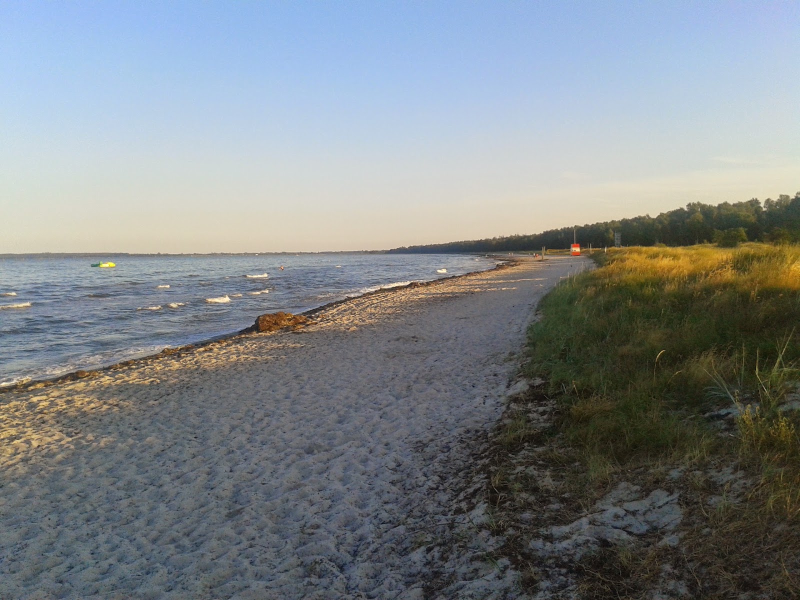 Fed Beach的照片 带有明亮的沙子表面