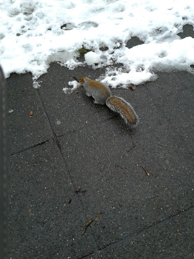 Golf Course «Jefferson Park Golf Course», reviews and photos, 4101 Beacon Ave S, Seattle, WA 98108, USA