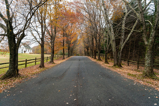 Golf Course «The Gauntlet Golf Club», reviews and photos, 18 Fairway Dr, Fredericksburg, VA 22406, USA