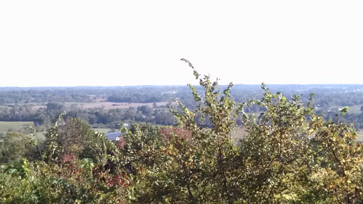 Resort «Park Mammoth Resort», reviews and photos, 22850 Louisville Rd, Park City, KY 42160, USA