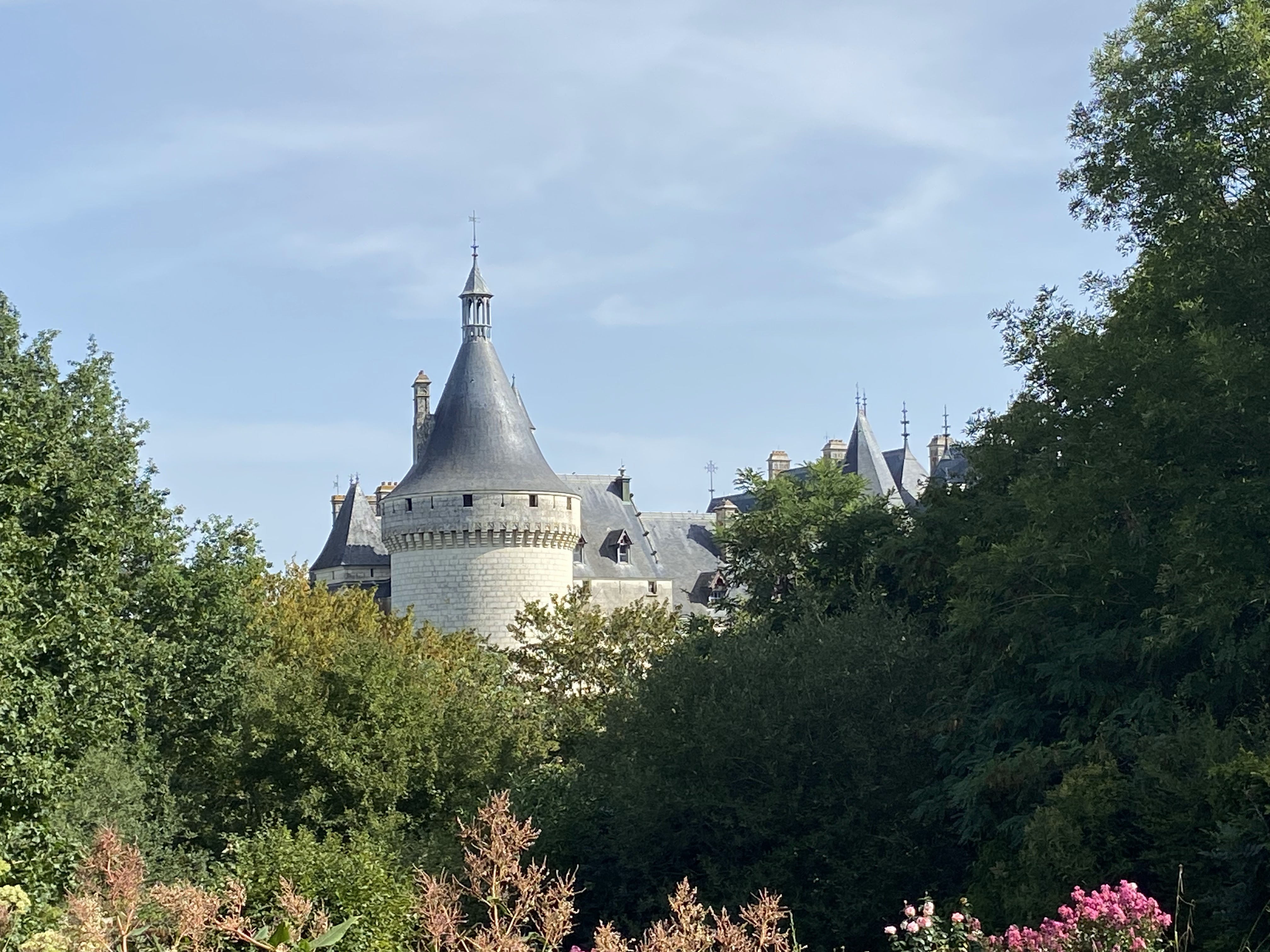 Photo n° 4 de l'avis de Oli.s fait le 23/08/2023 à 14:14