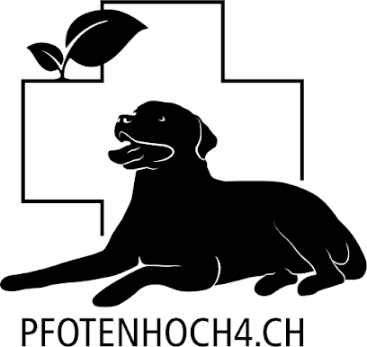 PFOTENHOCH4.CH