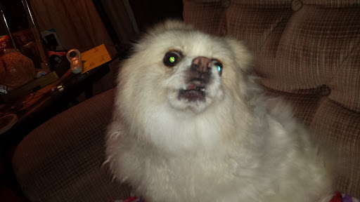 Park «Jaycee Park», reviews and photos, Beverly J Griffin Dr, Romeoville, IL 60446, USA