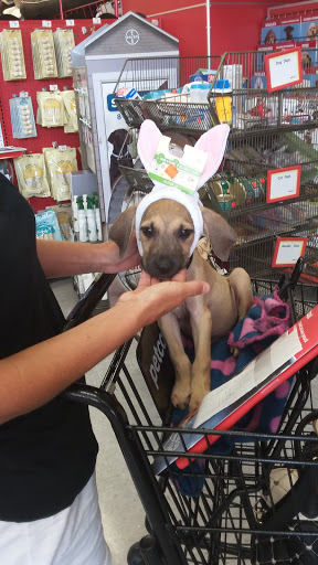 Pet Supply Store «Petco Animal Supplies», reviews and photos, 921 Harley Strickland Blvd, Orange City, FL 32763, USA