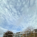 Photo n°5 de l'avis de Brid.get'S. fait le 25/02/2024 à 13:54 sur le  Ringhotel Am Stadtpark à Lünen