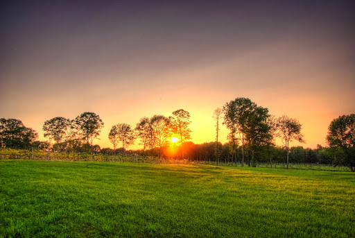 Winery «Priam Vineyards», reviews and photos, 11 Shailor Hill Rd, Colchester, CT 06415, USA