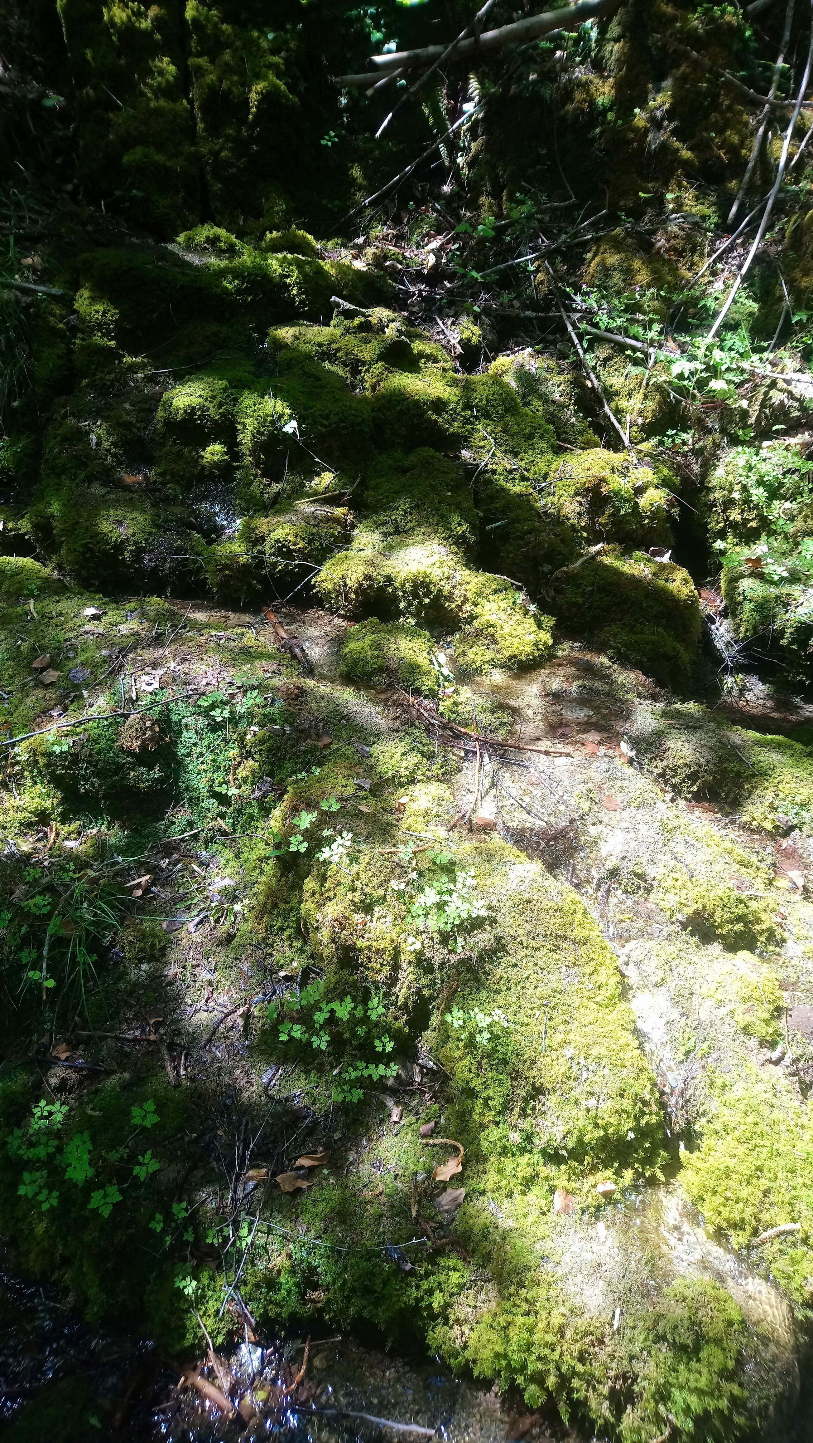 Photo n° 6 de l'avis de Stef.i fait le 16/08/2019 à 16:08