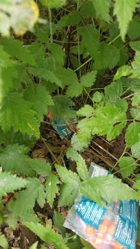 Park «Melilah Park», reviews and photos, SW 182nd Ave, Aloha, OR 97006, USA