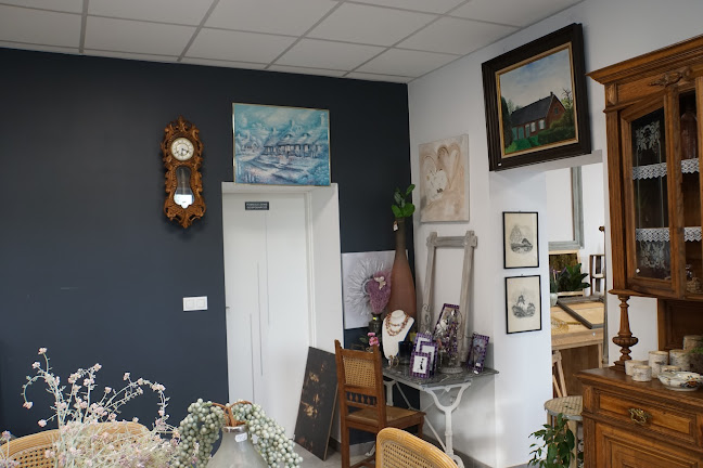 Comentarii opinii despre Eco Hollandstyle