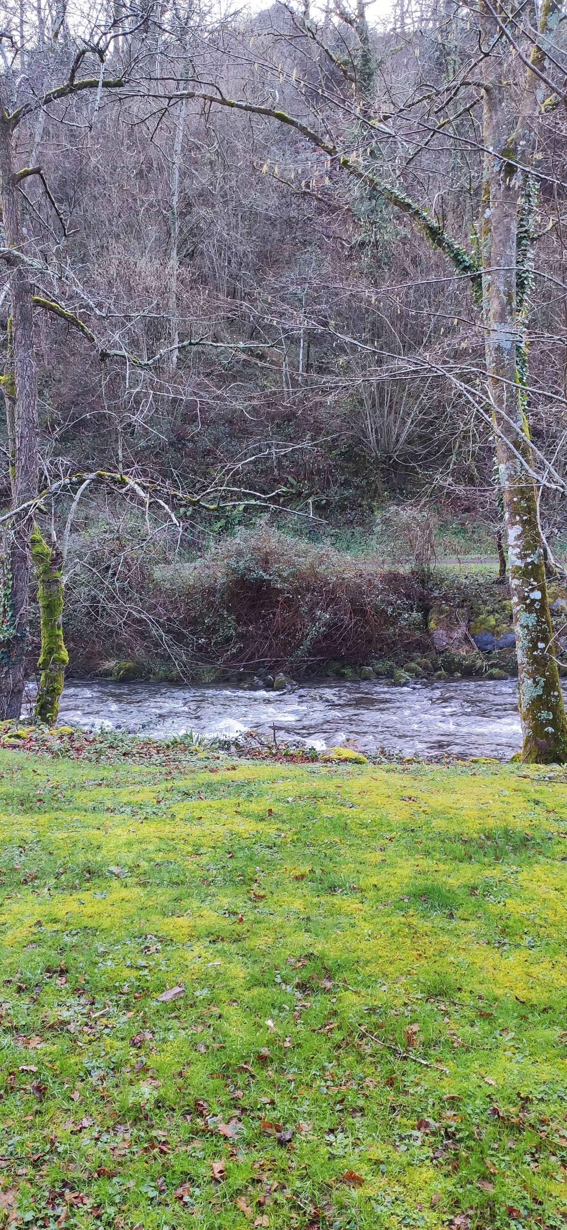 Photo n° 2 de l'avis de Amine.o fait le 06/01/2021 à 17:51