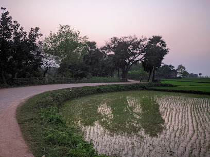 Agricultur Farm Land