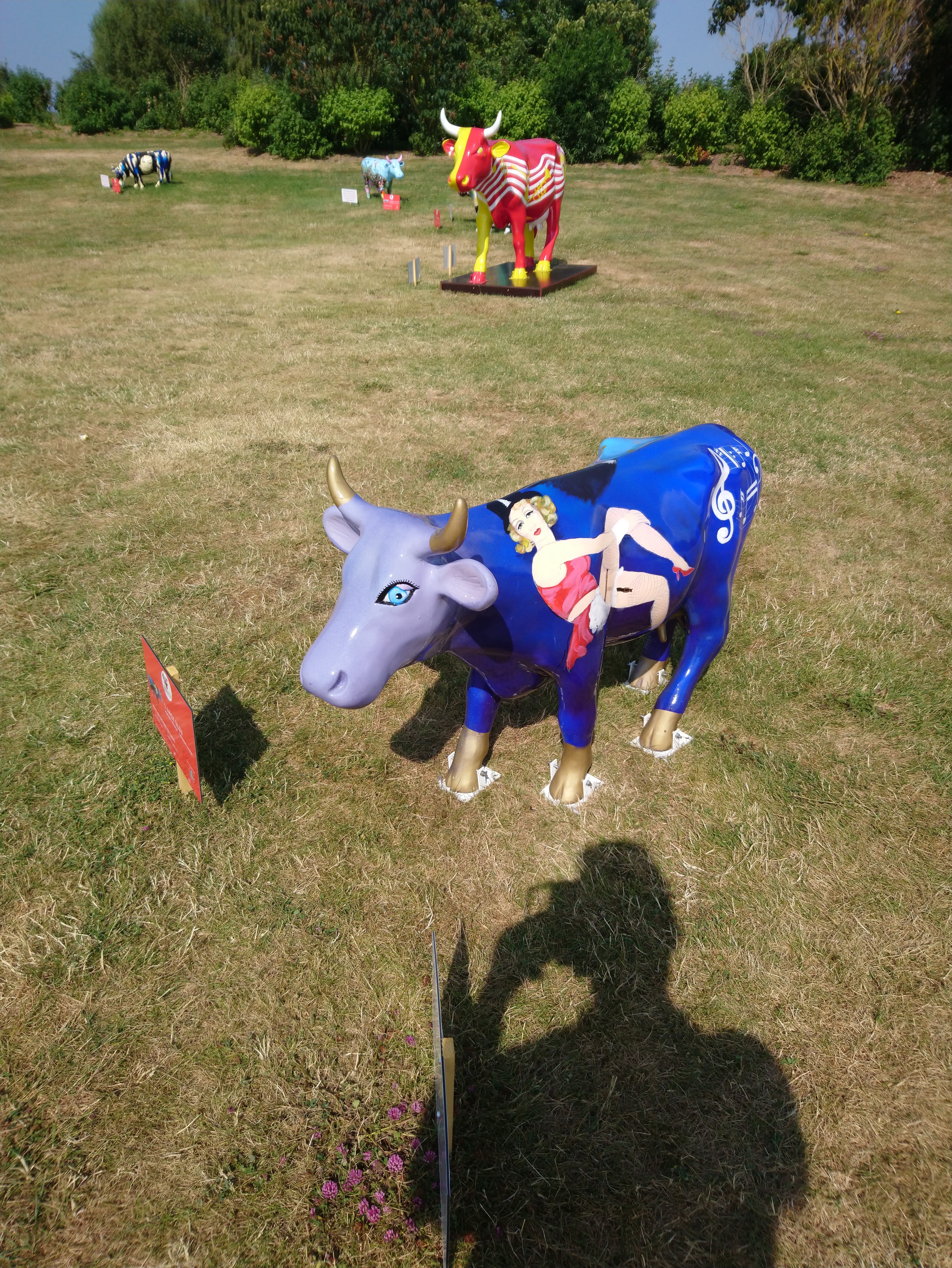 Photo n° 20 de l'avis de Lucien.e fait le 28/07/2019 à 19:45