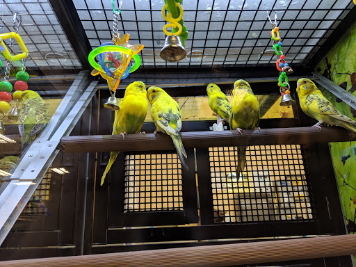 Pet Supply Store «PetSmart», reviews and photos, 160 Washington St #701, Rochester, NH 03839, USA