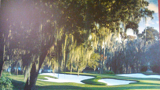 Country Club «Isleworth Golf & Country Club», reviews and photos, 6100 Payne Stewart Dr, Windermere, FL 34786, USA