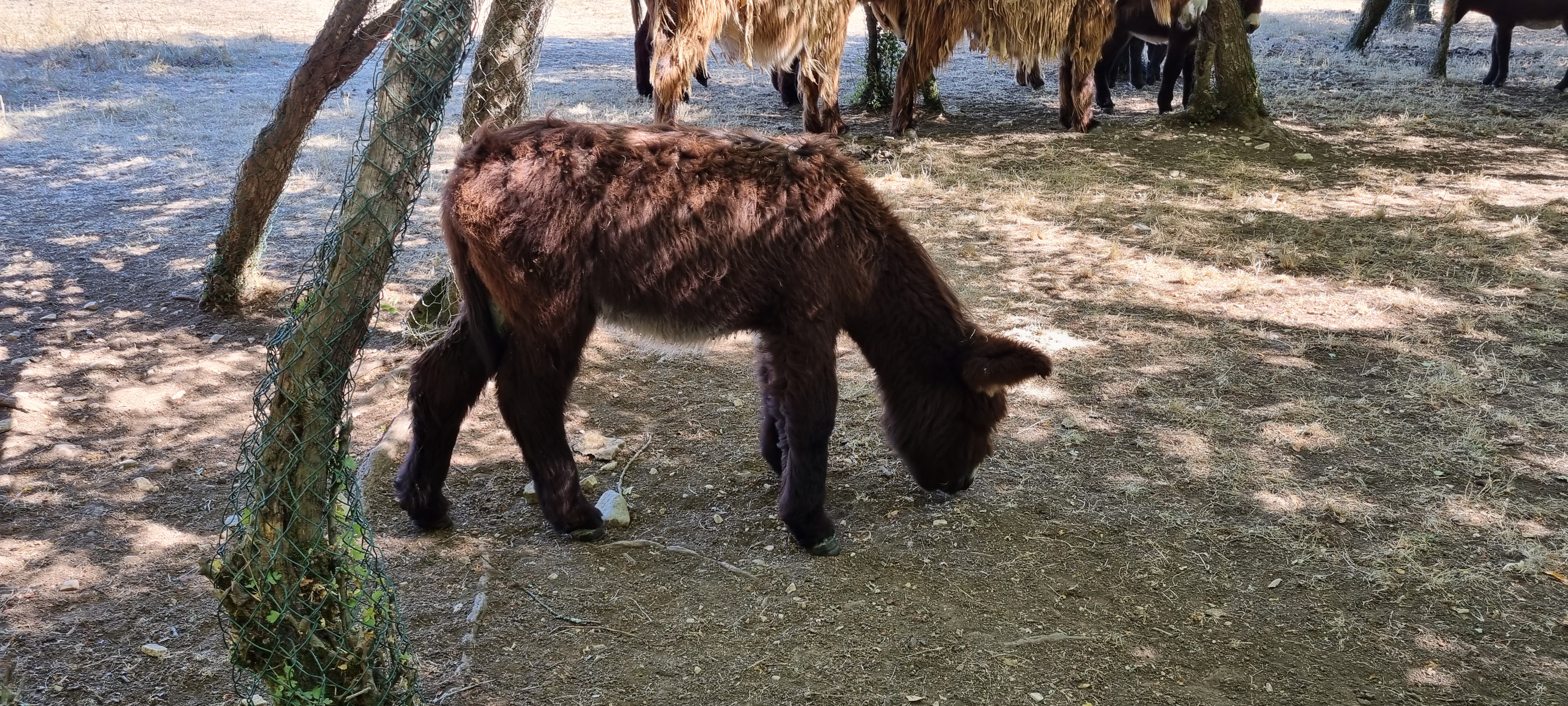 Photo n° 2 de l'avis de Caroline. fait le 11/08/2022 à 15:13