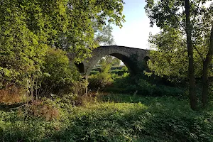 Pont d'en Bruguer image