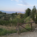 Photo n°2 de l'avis de Angelo.a fait le 26/05/2023 à 17:15 sur le  Agriturismo Podere Santa Rita à Casalguidi