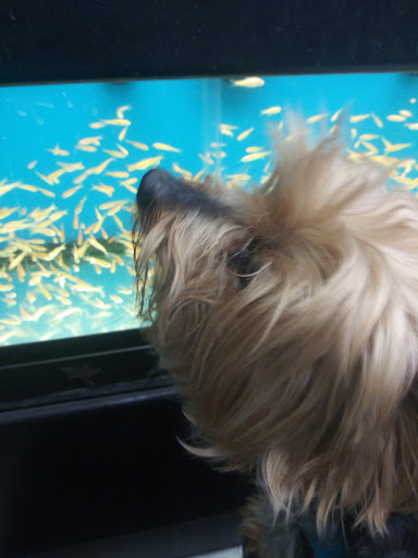 Pet Supply Store «Pet Supplies Plus», reviews and photos, 26230 Hoover Rd, Warren, MI 48089, USA