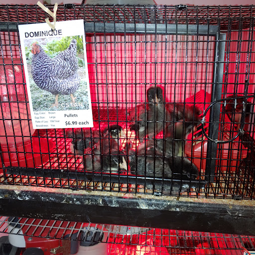 Pet Supply Store «Pickering Valley Feed & Farm Store», reviews and photos, 305 Gordon Dr, Exton, PA 19341, USA