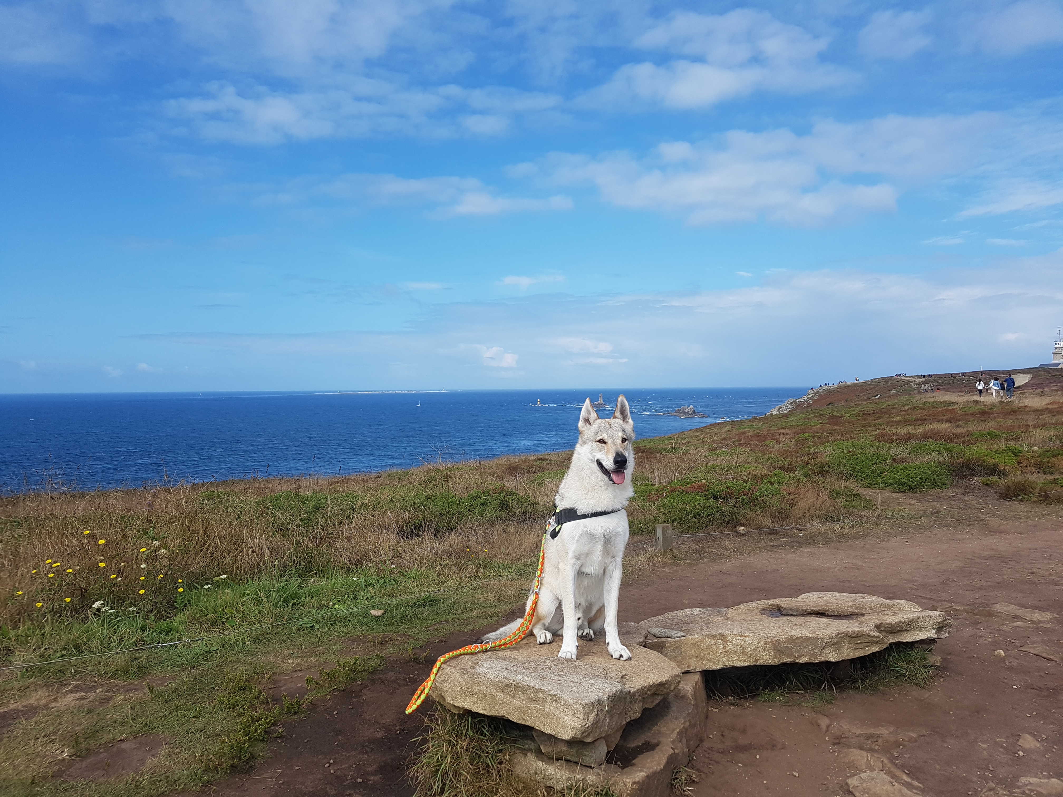 Photo n° 1 de l'avis de Maxence.. fait le 16/08/2019 à 13:18