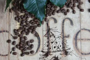 Brdská káva - regionální pražírna image