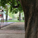 Photo n°5 de l'avis de Olly.. fait le 17/08/2023 à 20:31 sur le  Ristorante Pizzeria Il Boschetto à Germignaga