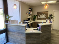 Celar Chiropractic - Photo 4 - Car repair in Hillside, IL, Chicago