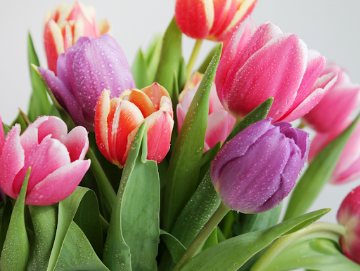 Florist «BOUQUETS», reviews and photos, 1525 15th St, Denver, CO 80202, USA